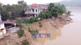 Yêu cầu xử lý khẩn cấp sự cố sạt lở bờ sông Lô