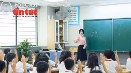 Chinh phục kỳ thi vào lớp 10: Bí quyết ôn luyện hiệu quả môn tiếng Anh 