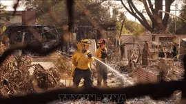 Cháy rừng tiếp tục diễn biến phức tạp tại Mỹ