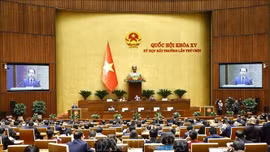 Quốc hội thông qua Luật Tổ chức Chính phủ (sửa đổi)