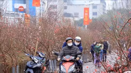  Bắc Bộ rét đậm, vùng núi cao có khả năng xảy ra băng giá