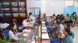 Tín dụng chính sách - trợ lực phát triển kinh tế ở Đồng Tháp