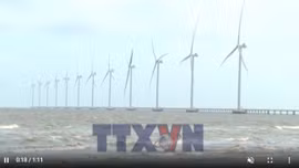 Nghị quyết 57 - đòn bẩy thúc đẩy phát triển năng lượng tái tạo