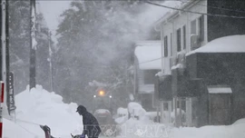 Tuyết lở khiến hơn 100 du khách mắc kẹt tại Fukushima, Nhật Bản