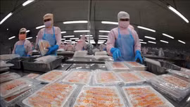 Thách thức đối với xuất khẩu tôm sang Mỹ