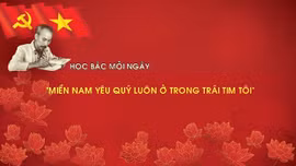Học Bác mỗi ngày: 'Miền Nam yêu quý luôn ở trong trái tim tôi'