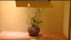 Không gian Ikebana giữa lòng Hà Nội