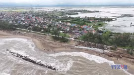 Thống kê sơ bộ thiệt hại từ cơn bão số 10