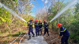 Chủ động bảo vệ Khu Bảo tồn loài sinh cảnh Vườn chim Bạc Liêu