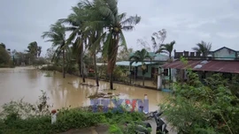 Mưa lớn làm nhiều khu vực phía Đông Gia Lai bị ngập cục bộ