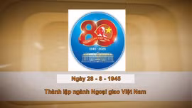 Khoảnh khắc & sự kiện ngày 28/8