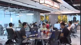 'Doanh nghiệp một người' cú hích từ cải cách đến đổi mới sáng tạo