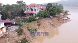 Yêu cầu xử lý khẩn cấp sự cố sạt lở bờ sông Lô