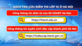 Cách tra cứu điểm thi lớp 10 ở Hà Nội 