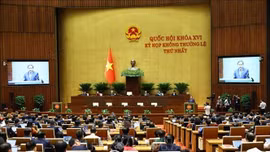 Tin nóng trong nước ngày 3/8/2026