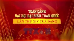 Toàn cảnh Đại hội đại biểu toàn quốc lần thứ XIV của Đảng