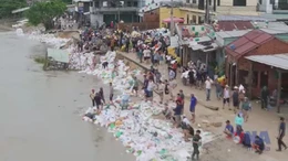 Đà Nẵng giữ bờ kè An Lương trước lũ lớn