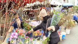 Chợ hoa Hà Nội rộn sắc xuân