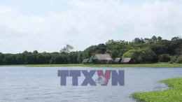 Đánh thức tiềm năng du lịch trằm Trà Lộc