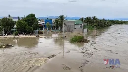 Khánh Hòa khẩn trương triển khai các biện pháp ứng cứu, hỗ trợ người dân