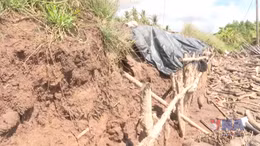 Người dân Cù Lao Dung lo lắng trước tình hình sạt lở