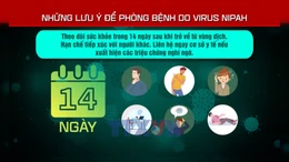 Những lưu ý để phòng bệnh do virus Nipah