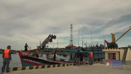 Tàu thuyền trên vùng biển Trường Sa vẫn an toàn