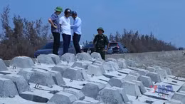 Khẩn trương ứng phó mưa lũ, lũ quét, sạt lở đất do bão số 11