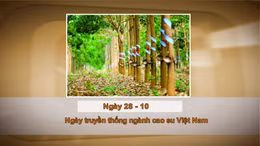 Khoảnh khắc & sự kiện ngày 28/10