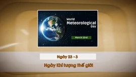 Khoảnh khắc & Sự kiện ngày 23/3