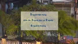 Thiệt hại bước đầu do bão số 13