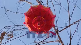 Gắn kết cộng đồng qua tục dựng cây nêu ăn Tết