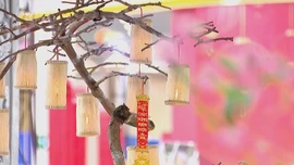 Độc đáo đèn đu đủ đón xuân 