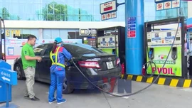 Xăng sinh học: Bước chuyển không thể trì hoãn