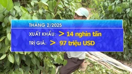 Giá xuất khẩu hạt tiêu tăng mạnh 68%