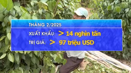 Giá xuất khẩu hạt tiêu tăng mạnh 68%