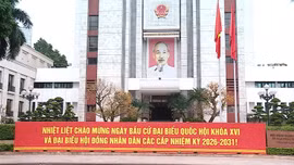 Hà Nội rực rỡ cờ hoa, mọi công tác sẵn sàng cho ngày hội non sông