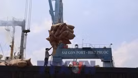 Giải pháp bảo toàn 8 tỷ USD nông sản xuất khẩu do xung đột Trung Đông