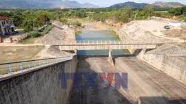 Chủ động ứng phó hạn hán và xâm nhập mặn 