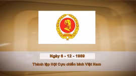 Khoảnh khắc và Sự kiện ngày 6/12 