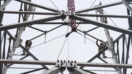 Đẩy nhanh tiến độ dự án đường dây 500KV Lào Cai - Vĩnh Yên 