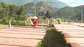 Miến dong Bình Lư nhộn nhịp vào Tết