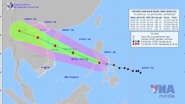 Thông tin cập nhật cơn bão BUALOI 