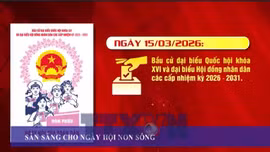 Sẵn sàng cho Ngày hội non sông