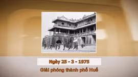 Khoảnh khắc và Sự kiện ngày 25/3