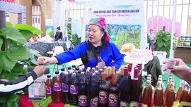 Hội chợ Mùa Thu 2025: Nâng tầm hàng Việt trên bản đồ thương mại thế giới 