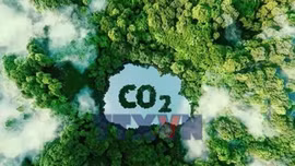 Siết quản lý hạn ngạch và tín chỉ carbon