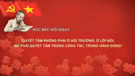 Học Bác mỗi ngày: 'Quyết tâm không phải ở hội trường, ở lời nói, mà phải quyết tâm trong công tác, trong hành động'