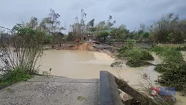 Người dân Gia Lai thiệt hại nặng nề sau vỡ đê Luật Lễ 