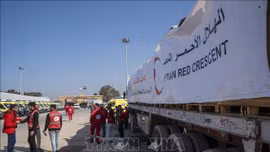 Hamas cam kết tuân thủ lệnh ngừng bắn tại Gaza